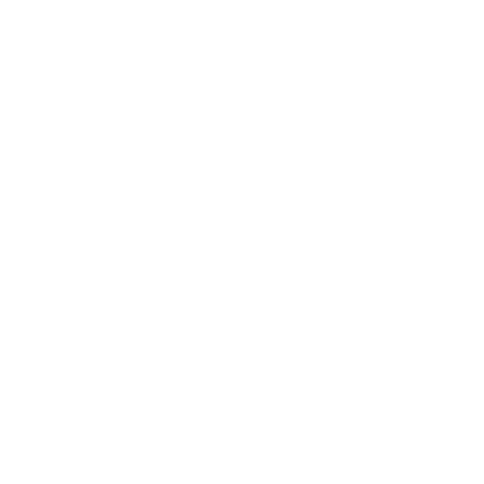 Global Network (big)